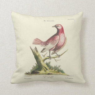 Vintage Pink Bird Pillow