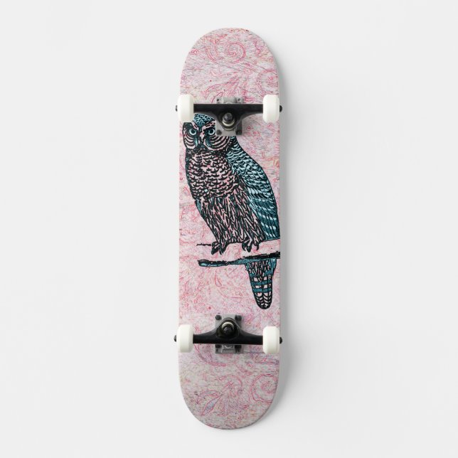 Vintage Pink Blue Cute Owl Skateboard (Front)