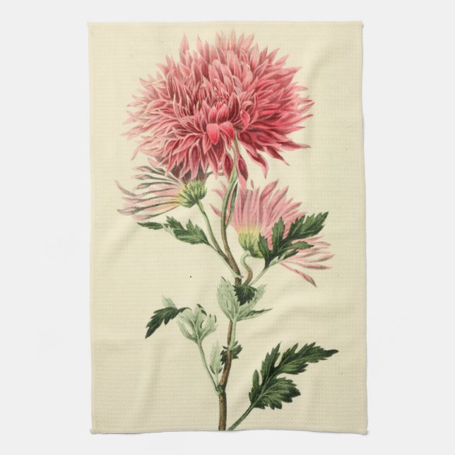 Vintage Pink Chrysanthemum Flower Kitchen Towel (Vertical)
