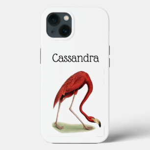 Vintage Pink Flamingo #1 iPhone 13 Case