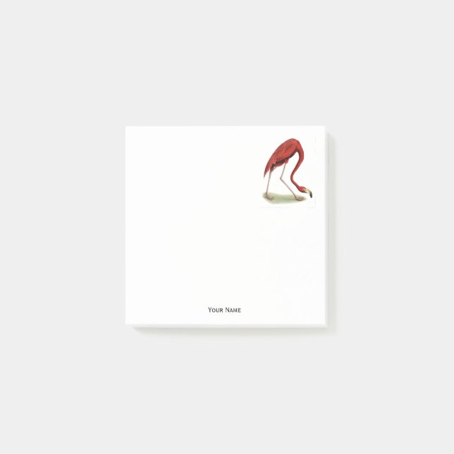 Vintage Pink Flamingo #1 Post-it Notes (Front)