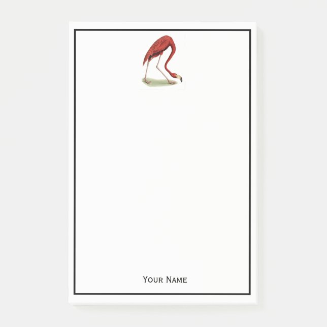 Vintage Pink Flamingo #1 Post-it Notes (Front)