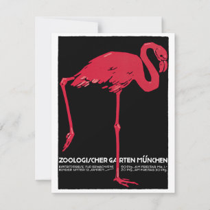 Vintage Pink Flamingo Bird at Germany Munich Zoo