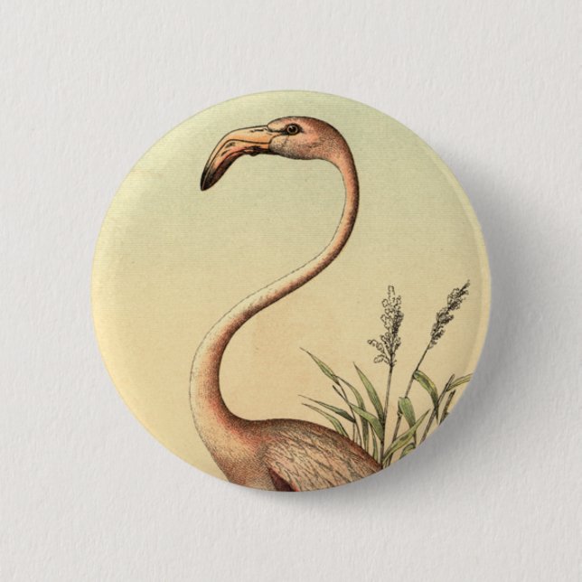 Vintage Pink Flamingo Illustration 2 Inch Round Button (Front)