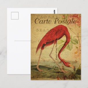 Vintage Pink Flamingo Postcard
