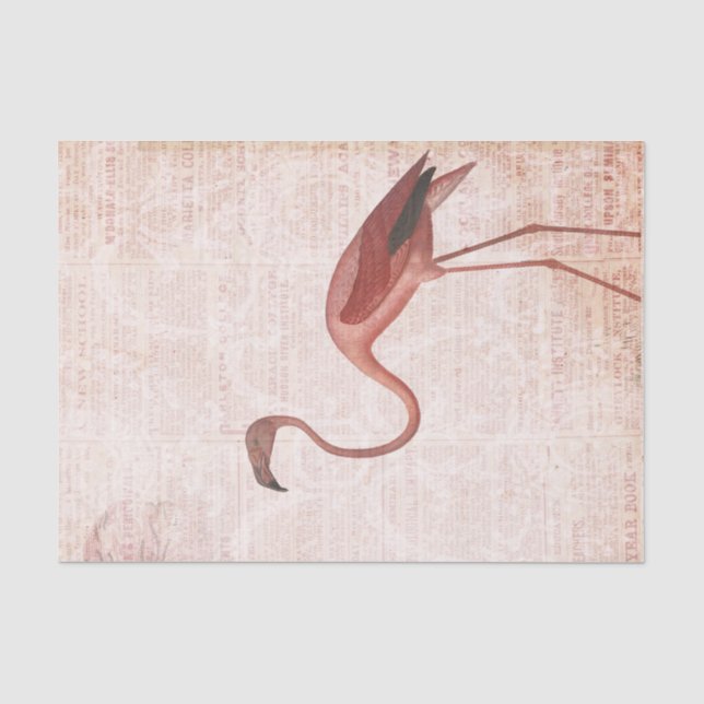 Vintage Pink Flamingo Tissue Paper (Front)