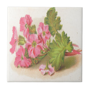 Vintage, Pink Flowers, Green Leaves, Tile