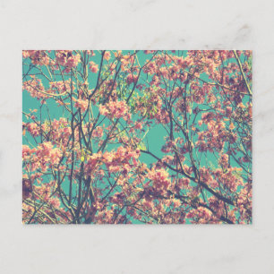 Vintage Pink Flowers Photograph Postcard