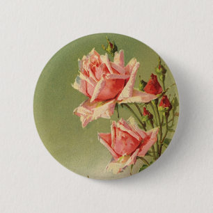 Vintage Pink Garden Roses for Valentine's Day 2 Inch Round Button