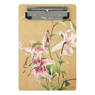 Vintage Pink Oriental Lily Botanical Flower Art Mini Clipboard