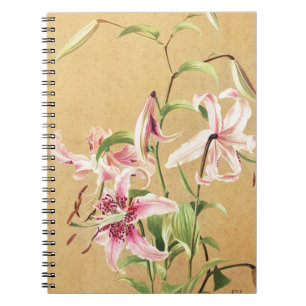 Vintage Pink Oriental Lily Botanical Flower Art Notebook