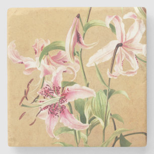 Vintage Pink Oriental Lily Botanical Flower Art Stone Coaster