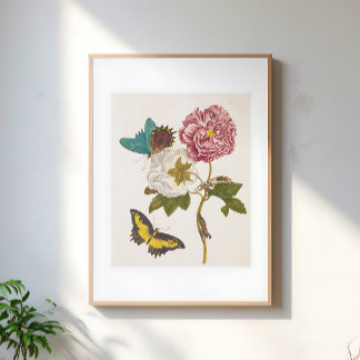 Vintage Pink Peony Flower, Floral Illustration Poster