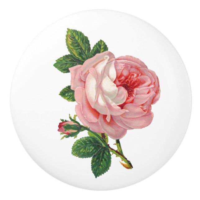 Vintage Pink Rose Botanical Ceramic Knob (Front)