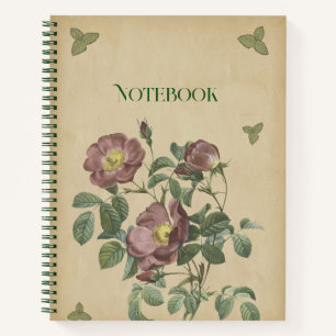 Vintage Pink Rose Botanical Floral Illustration Notebook