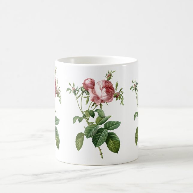 Vintage pink rose botanical illustration, Redoute Coffee Mug (Center)