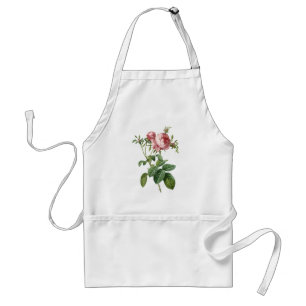 Vintage pink rose botanical illustration, Redoute Standard Apron