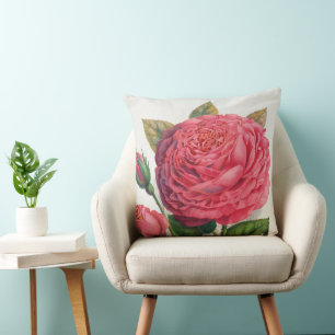 Vintage Pink Rose Illustration Throw Pillow
