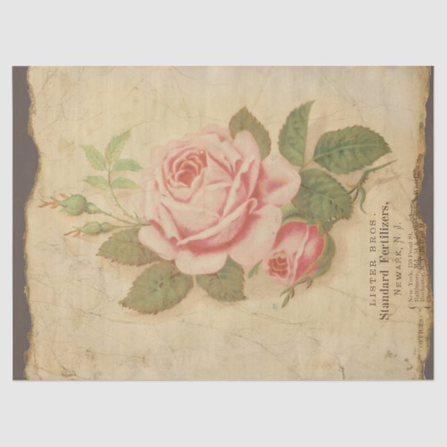 Vintage Pink Rose on Distressed Decoupage Tissue Paper (Front)