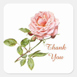Vintage pink rose Thank you flower Square Sticker