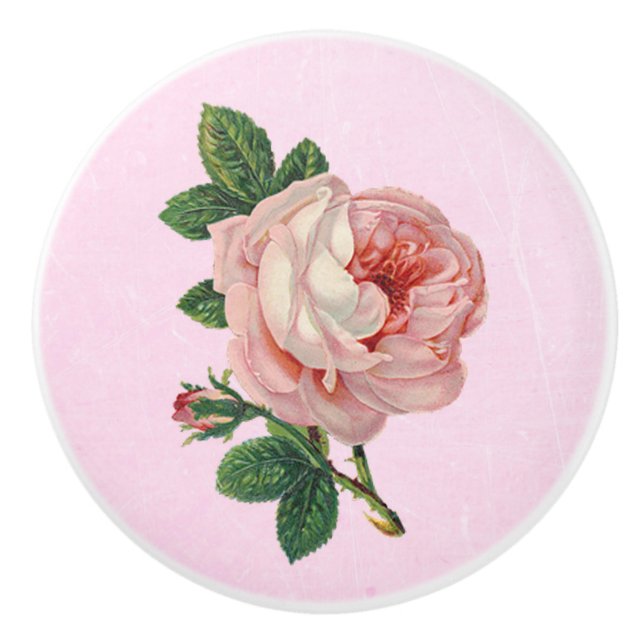 Vintage Pink Rose White Knob (Front)