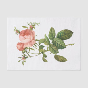 Vintage Pink Roses #1 Flowers Floral Tissue Paper