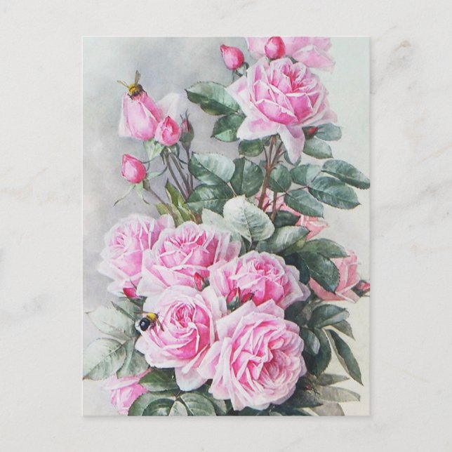 Vintage Pink Roses Bouquet Postcard (Front)