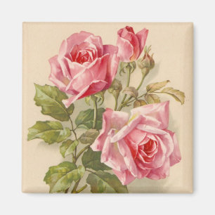 Vintage Pink Roses Magnet