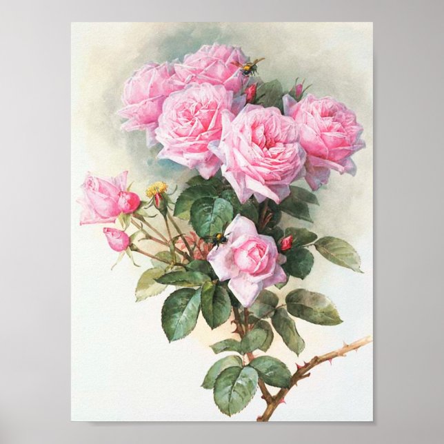 Vintage Pink Roses Painting Poster (Front)