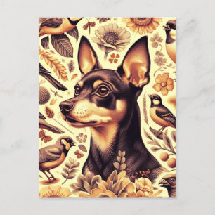 Vintage Pinscher Illustration Postcard