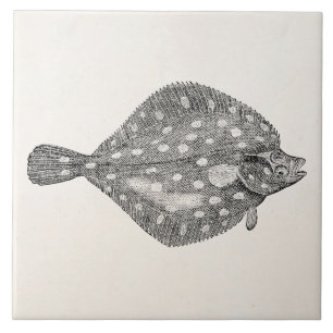 Vintage Plaice Flounder Fish Template Blank Tile
