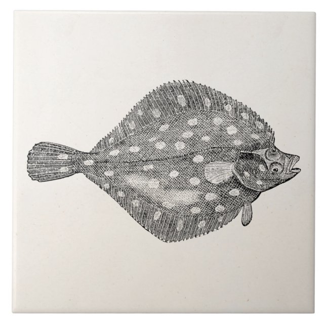 Vintage Plaice Flounder Fish Template Blank Tile (Front)