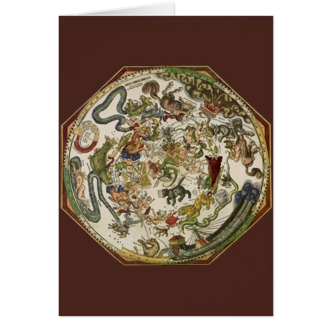 Vintage Planisphere Celestial Map by Peter Apian (Front)