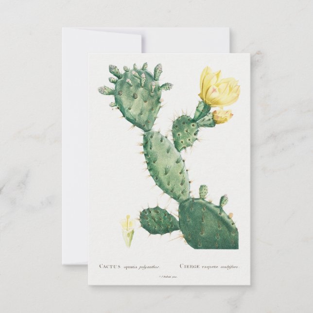 Vintage plant illustration (Front)