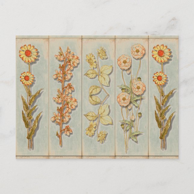 Vintage Plant Illustrations Postcard (Front)