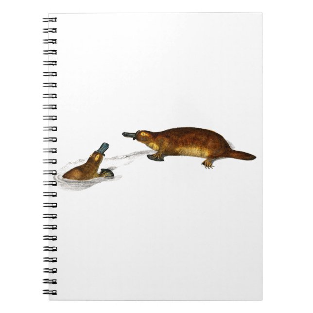 vintage platypus notebook (Front)