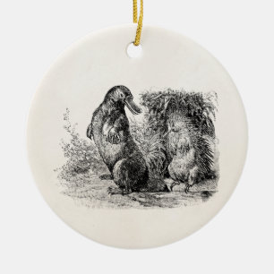 Vintage Platypus Porcupine Anteater Template Ceramic Ornament