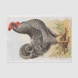 Vintage Plymouth Rock Chicken Decoupage Tissue Paper