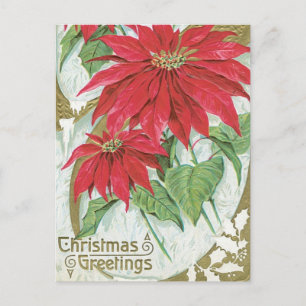 Vintage Poinsettia Illustration Postcard