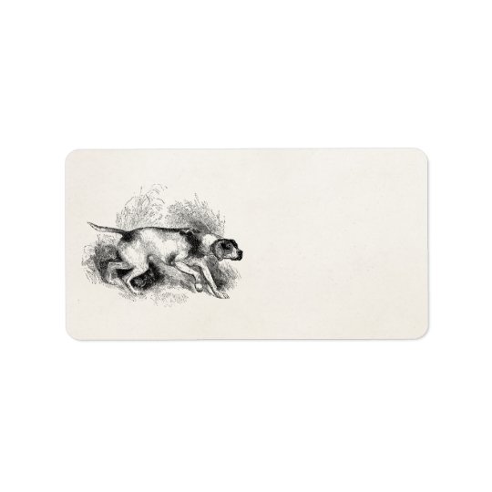 Vintage Pointer Hunting Dog 1800s Pointers Dogs