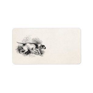 Vintage Pointer Hunting Dog 1800s Pointers Dogs Label