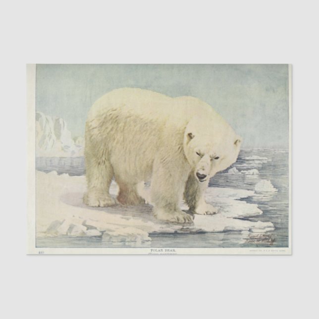 Vintage Polar Bear Ephemera Decoupage Tissue Paper (Front)