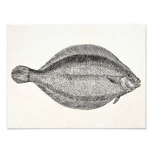 Vintage Pole Flounder Fish Personalized Template Photo Print
