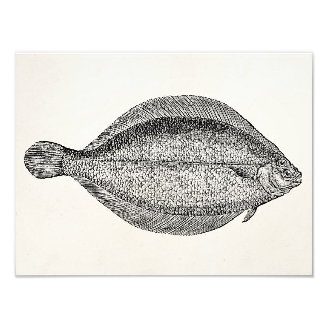 Vintage Pole Flounder Fish Personalized Template Photo Print (Front)