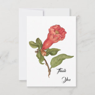 Vintage pomegranate flower blooming illustration  thank you card