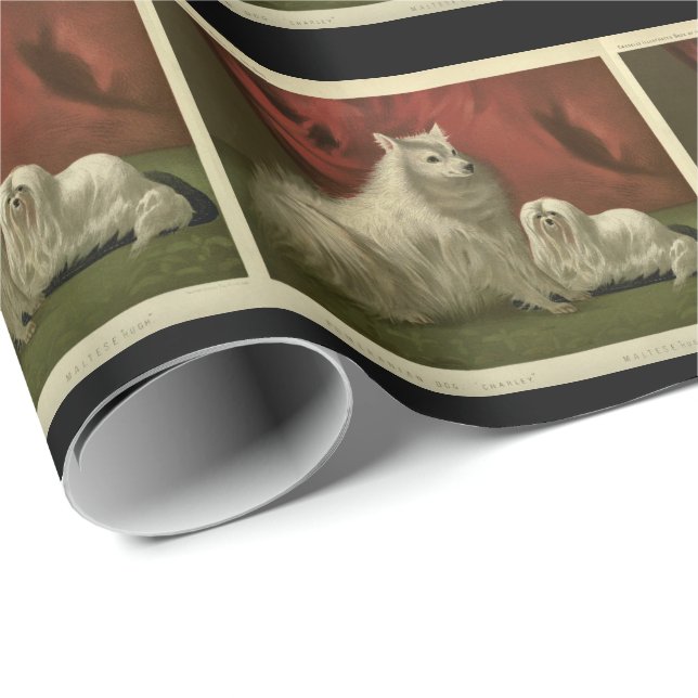 Vintage pomeranian and maltese dogs wrapping paper (Roll Corner)
