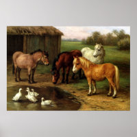 Vintage Ponies And Ducks Farm Animals