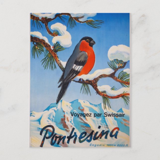 Vintage Pontresina Vacation Swiss Air Switzerland Postcard (Front)