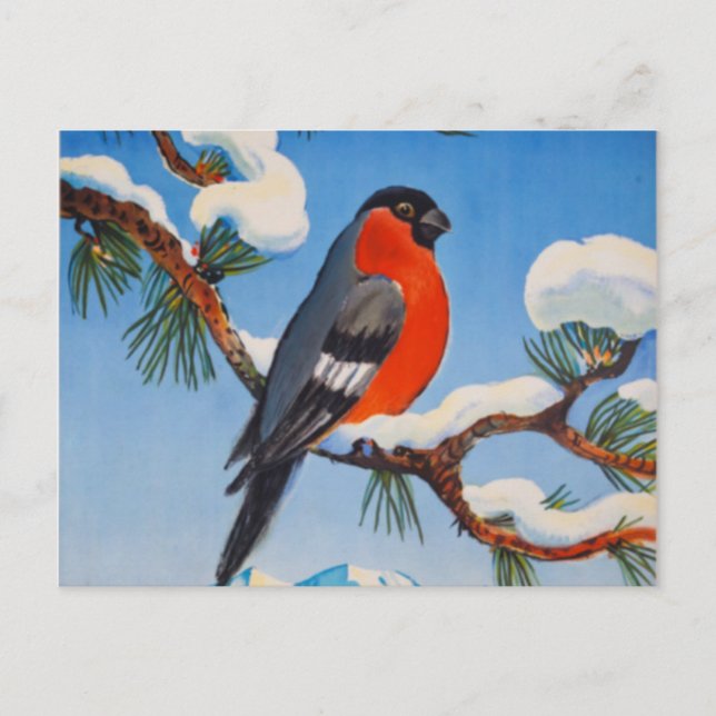 Vintage Pontresina Vacation Swiss Air Switzerland Postcard (Front)