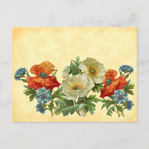 Vintage Poppies and Cornflowers Recipe Cards